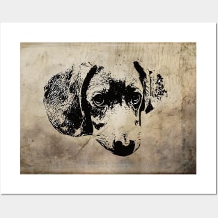 Dachshund Posters and Art